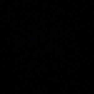 Meet your Posher, Danica joy